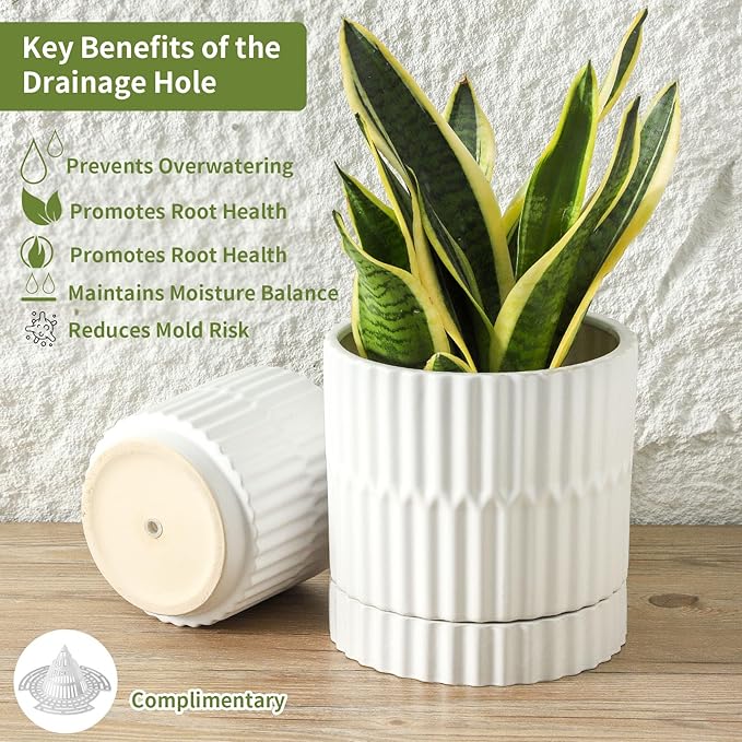 HASENSE Ceramic Plant Pots Set of 3, 8/6/4.6 Inch Cylinder Flower Planters with Drainage Saucers, Vertical Ribbed Modern White for Home Office & Outdoor Plants