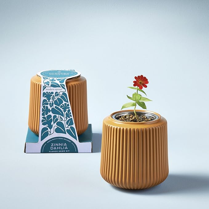 Modern Sprout Flower Grow Kit - Ceramic Planter with Indoor Hydroponics Growing System Kit Ideal for Living Room Decor - Unique Gardening Gifts - Zinnia Dahlia Self Watering Flower Planting Kit