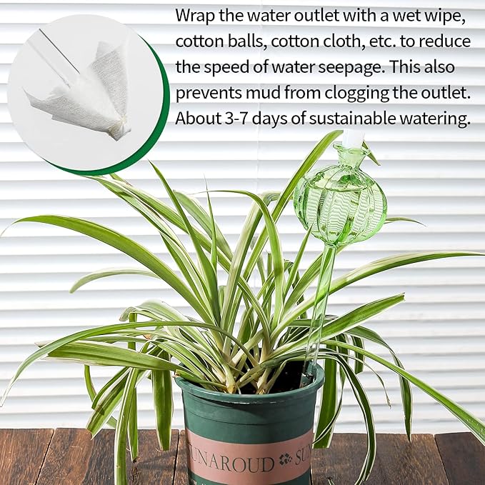 KGCCIZI Self Watering Planter Insert. Plant Watering Devices. 3-Pack Cactus Plant Watering Bulbs. Plant Watering Globes. Plant Gifts Plant Lover Gifts