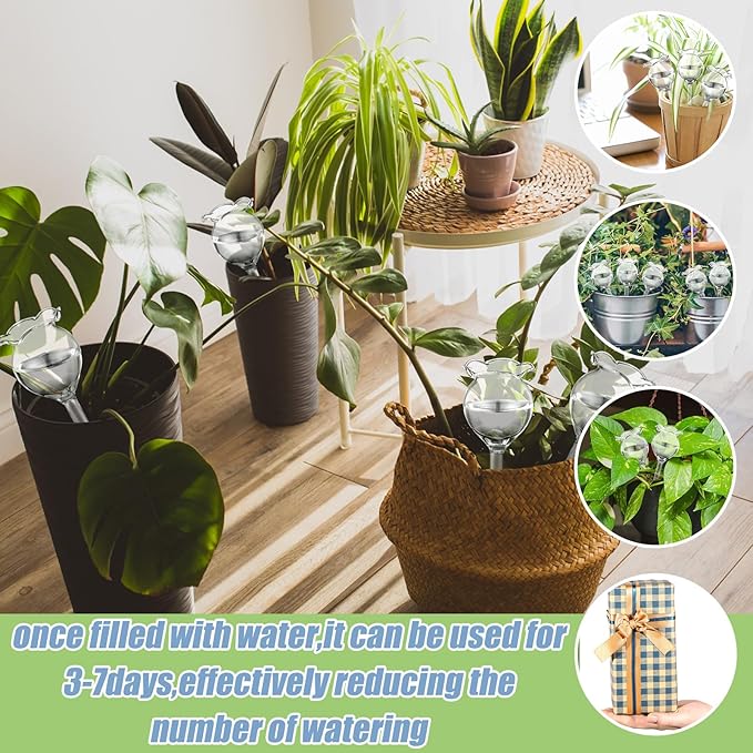 Yungyan 6 Pcs Self Watering Plant Globes Glass Cactus Insert Watering Devices Automatic Plant Watering Bulbs Water Globes for Indoor Outdoor Plants(Clear Tulip,5.31 Inch)