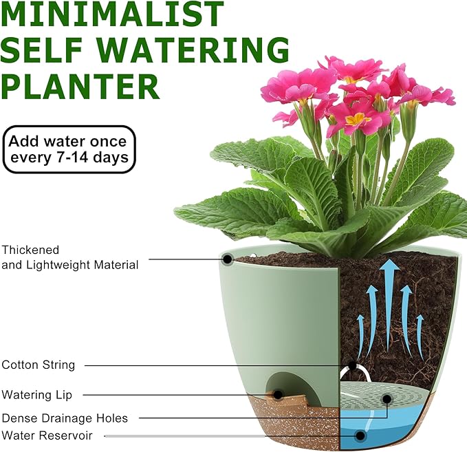 QRRICA Plant Pots 10/9/8/7.5/7 Inch Self Watering Pots, Set of 5 Plastic Planters with Drainage Holes and Saucers,Plastic Flower Pots,Nursery Planting Pot for Indoor Out Door Plants（Green）