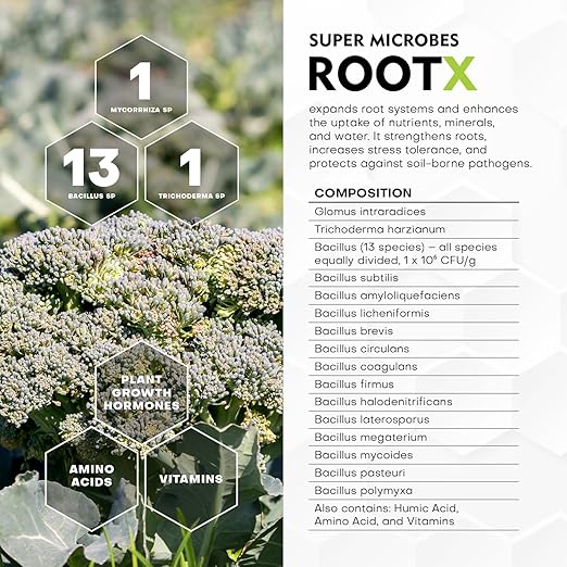 RootX – Premium Mycorrhizae Rooting Powder | Enhance Root Growth & Nutrient Uptake | Mycorrhizal Fungi & Trichoderma | Organic Soil Booster for Stronger Plant Roots