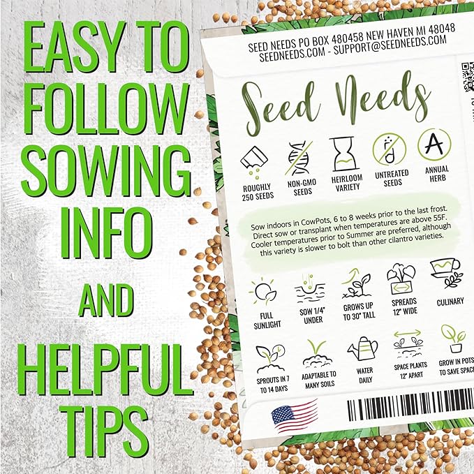 Seed Needs Cilantro & Dill Seeds for Planting Fresh Kitchen Herbs - Non-GMO Heirloom & Untreated Perennial Herb Seed to Plant a Culinary Garden Indoors or Outdoors (2 Pack Duo)