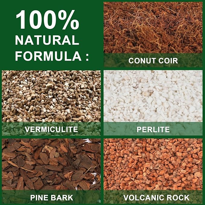 Doter Organic Desert Rose Potting Soil Mix for Healthy Growth 2qt- 100% Natural Potting Mix - Specially Formulated Nutrient-Rich Plant Soil for Desert Rose Plant