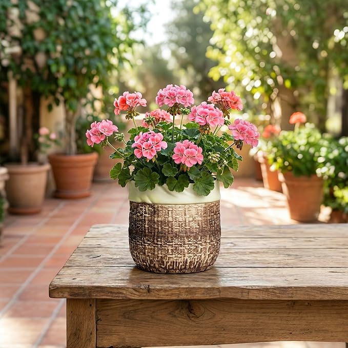 6 Inch Plant Pot - Ceramic Pots for Plants with Drainage Hole and Plug, Unique Plant Pots for Indoor Outdoor Plants, Round Planter, Room Home Decor, Gifts for Plant Lovers, Brown