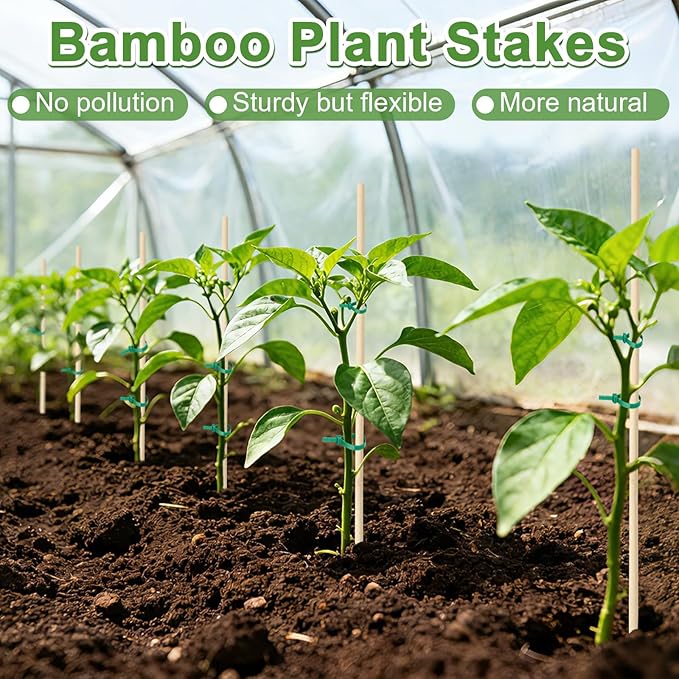 AUGSHY Plant Stakes 18 Inch, 40 PCS Natural Bamboo Garden Stakes which Green Ties Plants Support Stakes for Indoor Outdoor Plants Tomato Vegetable Beans Potted Climbing Plants