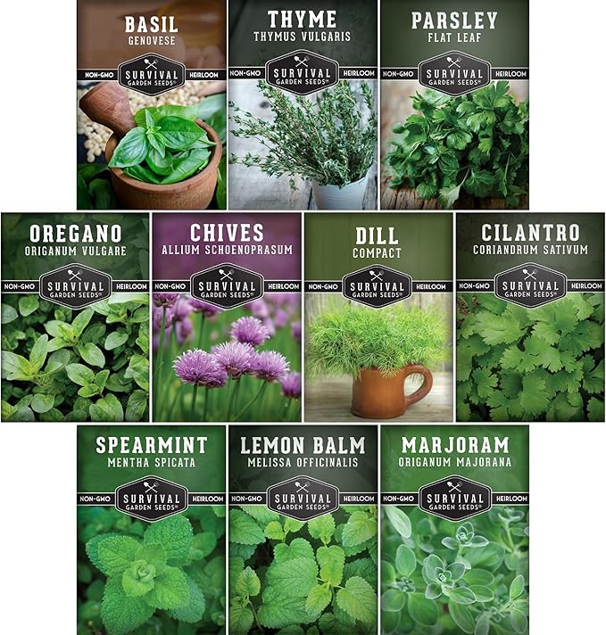 Indoor Herb Seeds Variety Pack | 10 Herbs for Planting – Basil, Mint, Parsley, Cilantro, Thyme, Dill, Chives, Oregano, Lemon Balm, Marjoram – Kitchen Garden Gift Set – Survival Garden Seeds