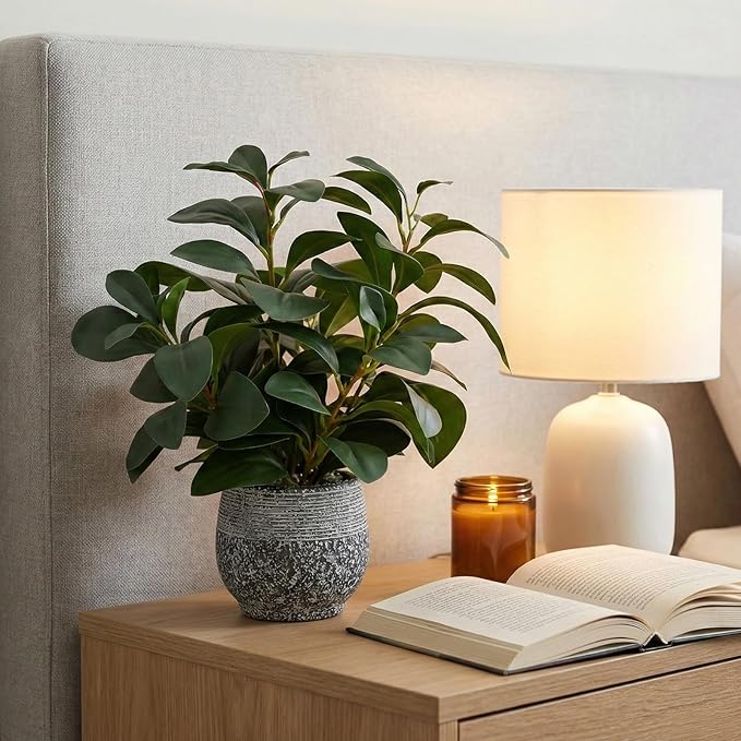 SHOHAYTO Artificial Plants for Home Decor - 13.2 Inch Fake Ficus Tree in Cement Planter, Real Looking Potted Faux Plants for Office Desk, Kitchen Shelf, Bookshelf & Indoor Decor