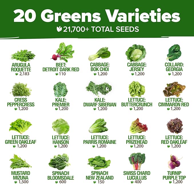 HOME GROWN 20 Variety Lettuce Seeds 21,700+ Bulk Pack Heirloom Non-GMO High Germination, Romaine, Butterhead, Spinach, Kale, Iceberg, Continuous Harvest Indoor Outdoor Hydroponic Garden (20 Varieties)