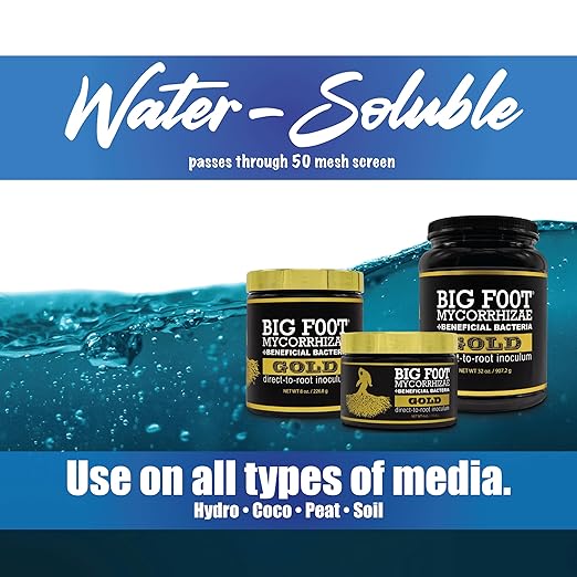 Big Foot Gold Mycorrhizal Fungi 4 oz, Beneficial Bacteria for Plant Growth, Root Stimulator, Super Concentrated 3-in-1 Formula for All Plants