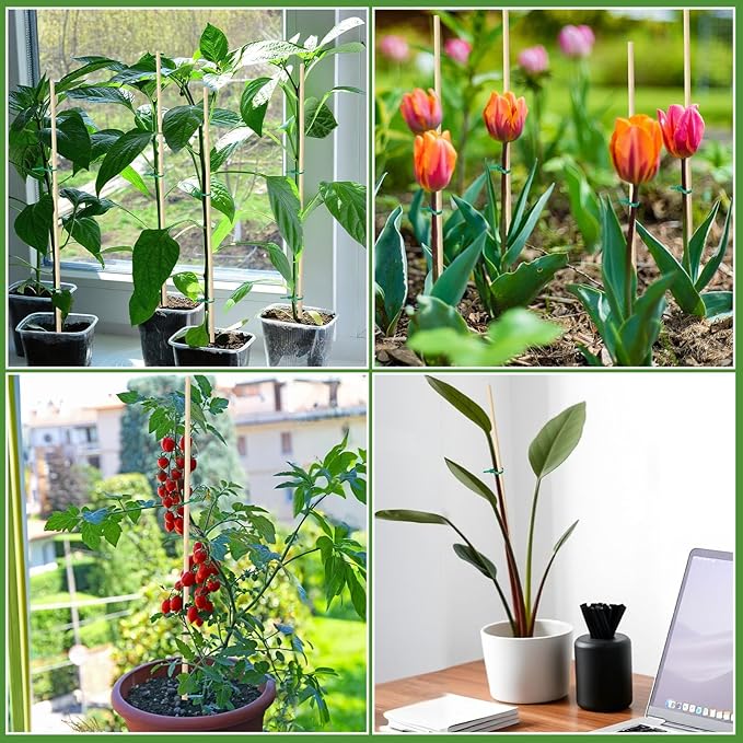 AUGSHY Bamboo Plant Stakes 18 Inch, 64 PCS Natural Bamboo Garden Stakes for Plants and Plant Support Stakes for Indoor Outdoor Plants Tomato Vegetable Beans Potted Climbing Plants