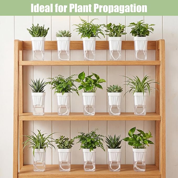 30 Pack 2" Small Self Watering Pots for Indoor Plants Clear Mini Self Watering Plant Pot with Water Level, Drainage Holes 30 Plastic Label 3 Planting Tools, Rope for Propagation Succulents