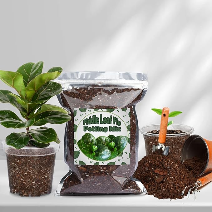 Doter Organic Fiddle Leaf Fig Potting Mix 2qt, Indoor Plants Potting Mix for All Potted Ficus Lyrata Plant, Grow Healthy houseplants Indoors