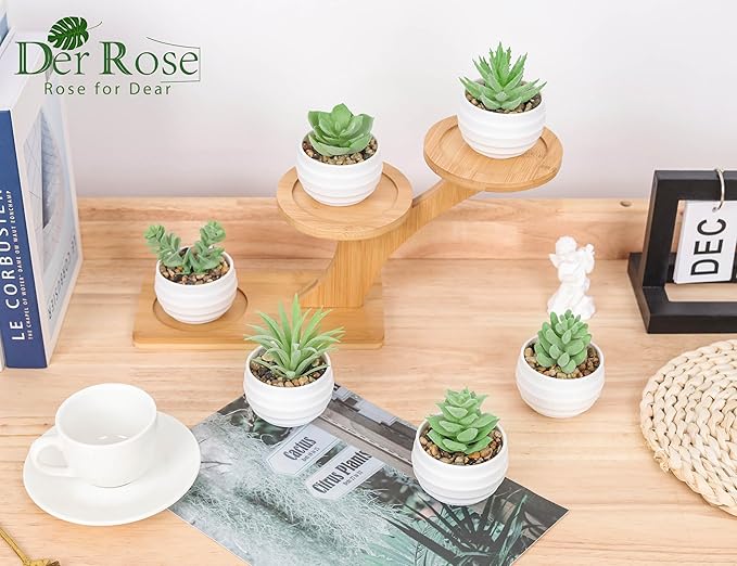 Der Rose 6 Pack Fake Plants Small Realistic Succulents Plants Artificial for Home Room Decor Indoor