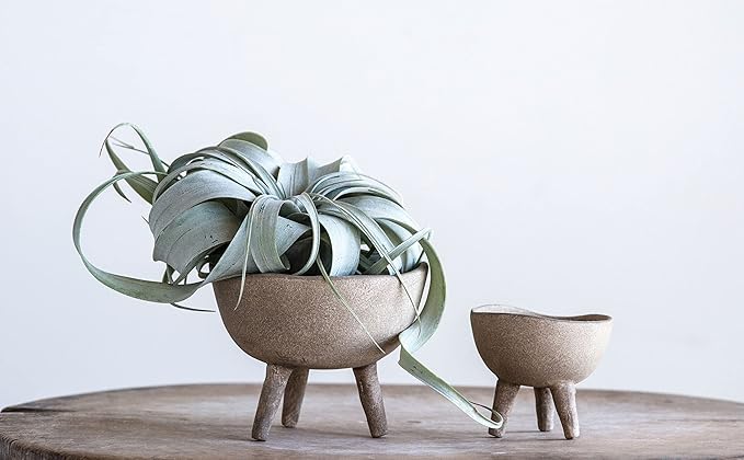 Creative Co-Op Round Terra-cotta Bowl with 3-Legs and Distressed Finish, Cream