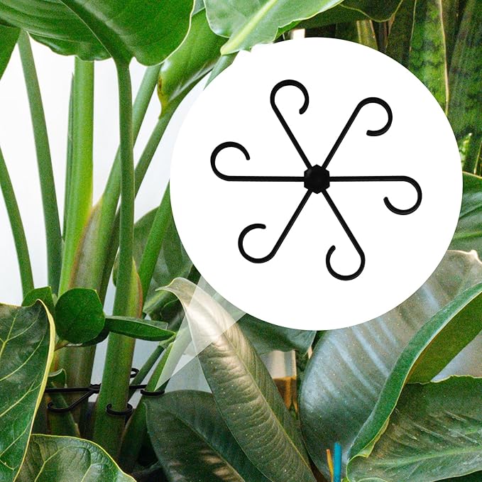 PEUTIER 4pcs Plant Stem Supports, Plastic Houseplant Climbing Holders Stabilizer Reusable Small Climbers Flower Plant Stakes Trellis Stem Hook Growth Accessories for Indoor Monstera (Black)