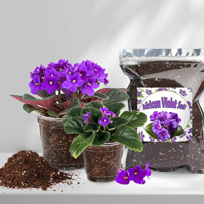 Doter Organic African Violet Potting Mix, Indoor Plants Potting Mix for All Potted Saintpaulia, Grow Healthy houseplants Indoors