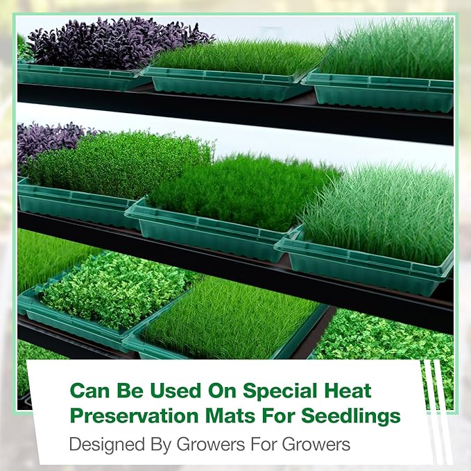 10 Pcs Seed Starter Kit 72 Cell Seedling Starting Trays and 1020 Trays No Holes Plant Growing Nursery Pots for Gardening Germination Propagation (Green)