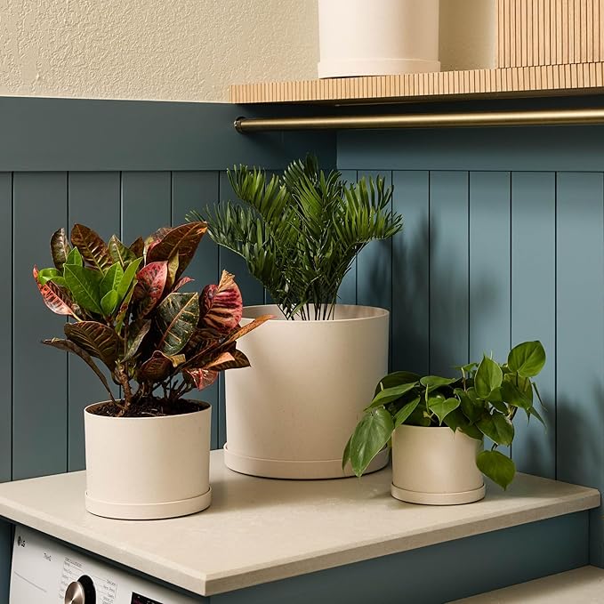 Bloem Mathers 12" Vanilla Bean Round Modern Resin Garden Planter Pot with Drainage Holes and Removable Saucer Tray Included