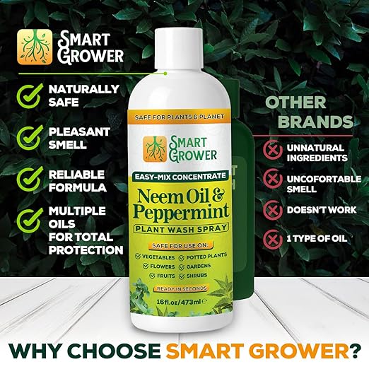 Neem Oil Spray for Plants with Peppermint Oil – for Indoor & Outdoor Plants, Gardens, & Houseplants– Best Value Refill 16 oz Concentrate Makes 2 Gallon RTU