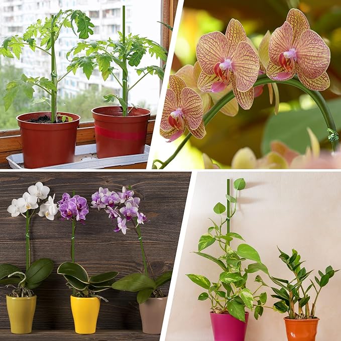 10Pcs Plant Stakes,Plant Sticks,Garden Green Bendable Single Stem Plant Support Stakes for Indoor and Outdoor Plants,Potted Plants,Flowers Orchid Peony Rose-15 Inches
