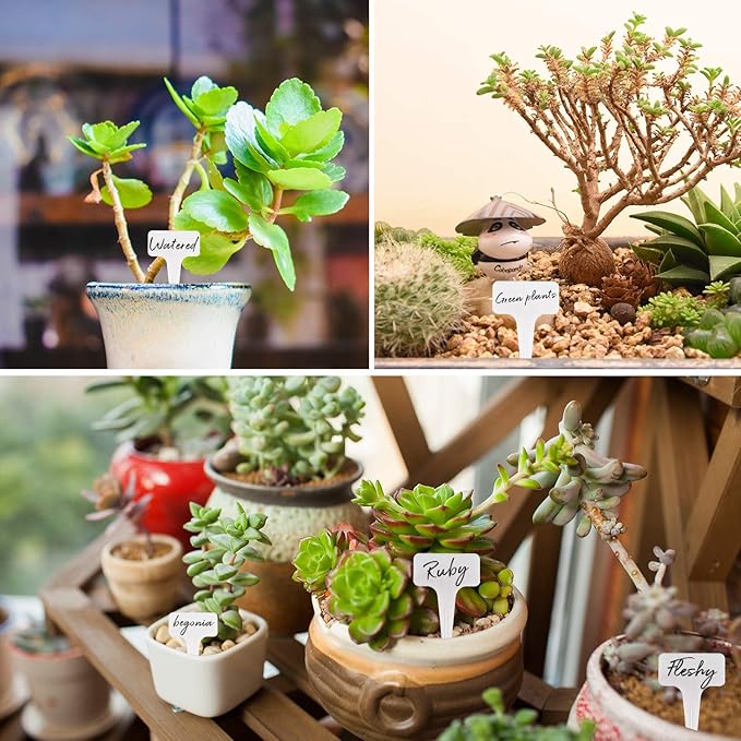 100PCS Plant Labels, 2.36x3.93IN T-Type PVC Garden Tags, Waterproof Plant Sign, Durable Garden Labels, Nursery Garden Marker, Plant Name Tags for Seed Potted Herb Flower Vegetable (White)