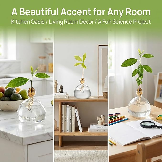Hiceeden Avocado Seed Starter Vase Planter, Clear Avocado Tree Growing Kit Pot, Medium Avocado Vase Grow Glass Plant Pot Gift for Indoor Outdoor