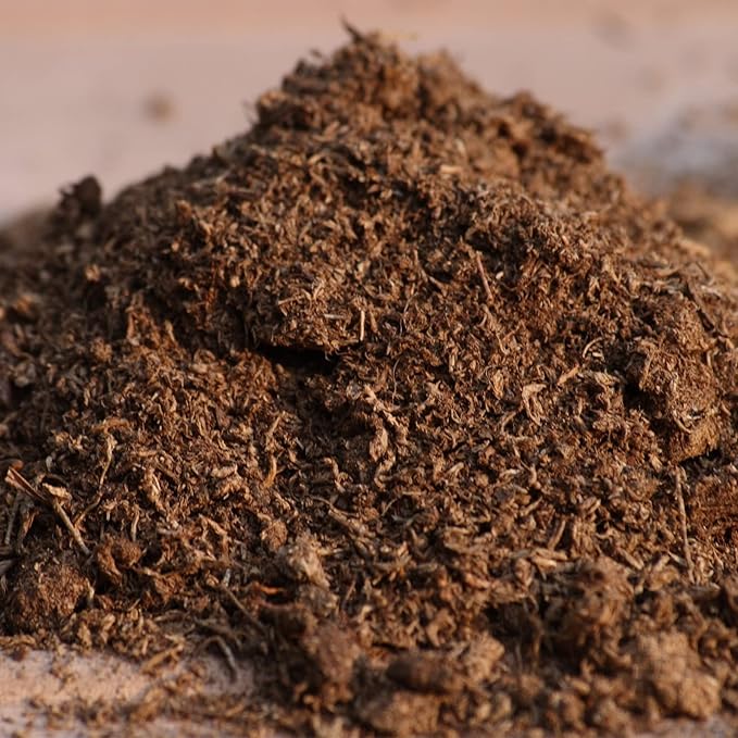 Doter Organic Sphagnum Peat Moss, Added to Soil and Enriches Plant Roots, Gardening Soil Amendment and Carnivorous Plant Soil Media(4qt)