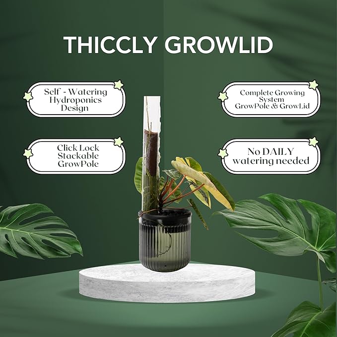 THICCLY Medium GrowLid 5 Pcs (Clear) - Self Watering Clear D-Shaped Plastic Moss Pole Hydroponics Growing System Kratky Hydroponic Kit Moss Pole Monstera Plant Support Philodendron and Anthuriums