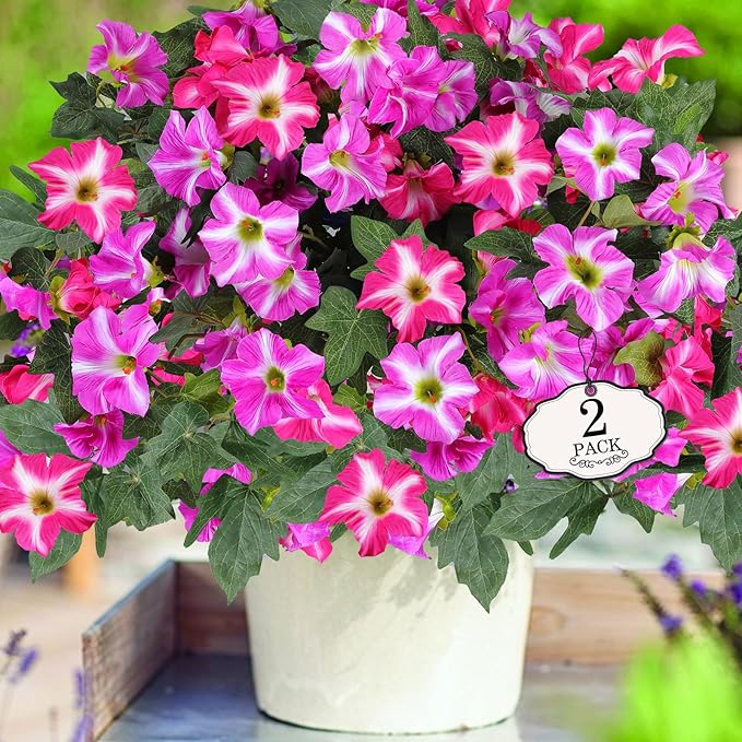 Alotiki Artificial Fake Flowers for Outdoor Plants Decoration,2 Pcs Faux Petunias Flowers Plants UV Resistant Silk for Porch Yard Garden Home Indoor Decor(Purple Red)