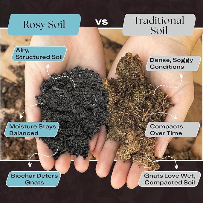 Rosy Soil Indoor Potting Soil for House Plants, 2 x 8 qrt - Organic Potting Soil Mix for Indoor Plants -Enriched w/Root-Boosting Biochar for Foliage Plants, Flowers, Herbs - Pack of 2