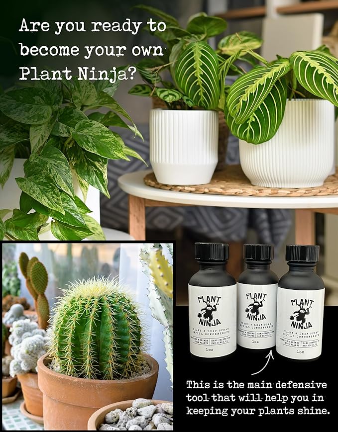 Plant & Leaf Spray, Refill Concentrate, Protection, Shine Enhancer for Your Indoor Plants, House Plants, Gardening Supplies, Plant Care, 3 Pack 1oz