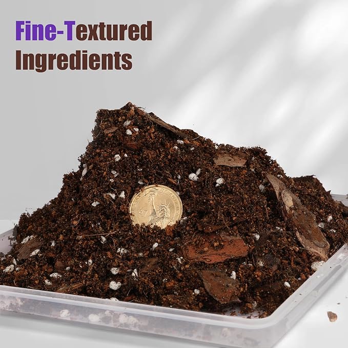 Doter Organic African Violet Potting Mix, Indoor Plants Potting Mix for All Potted Saintpaulia, Grow Healthy houseplants Indoors