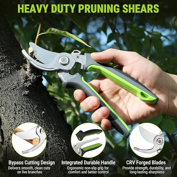 WORKPRO Garden Pruning Shears 2 Pack, 8.25" Bypass Pruning Shears and 6.25" Straight Garden Flower cissors, Garden Clippers Hand Tools for Cutting Flowers, Trimming Plants, Picking Fruits