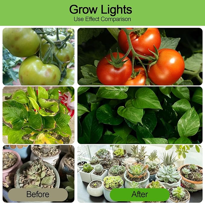 Tigvio 2pcs Hanging Grow Lights for Indoor Plants (20w X2) with Height Adjustable, 4000 Lumen LED Bonsai Houseplant Growing Lamp with On/Off Switch, Grow Light UV-IR Full Spectrum