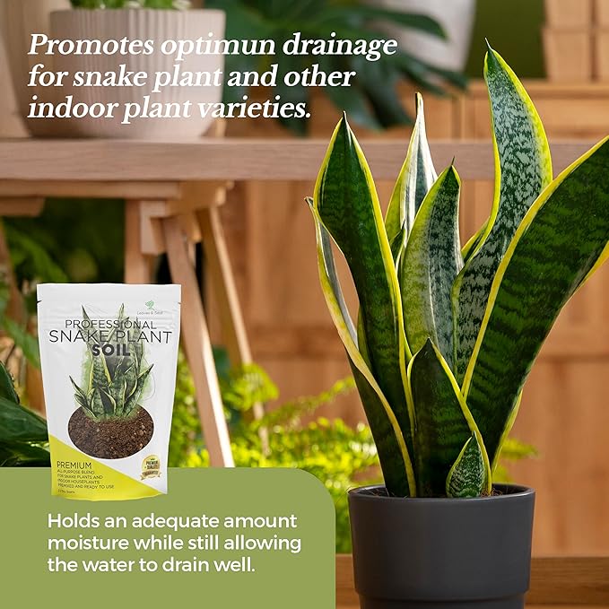 Professional Snake Plant Soil | Large 8.2 Quarts Ready to Use for Snake Plants | Peat Moss, Coco Coir, Perlite, Dolomite | Made in USA