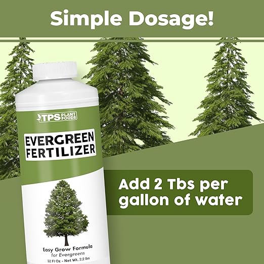 Evergreen Tree Fertilizer – Liquid Plant Food for Rich Green Needles, Stronger Roots & Healthy Year-Round Growth, 32 oz