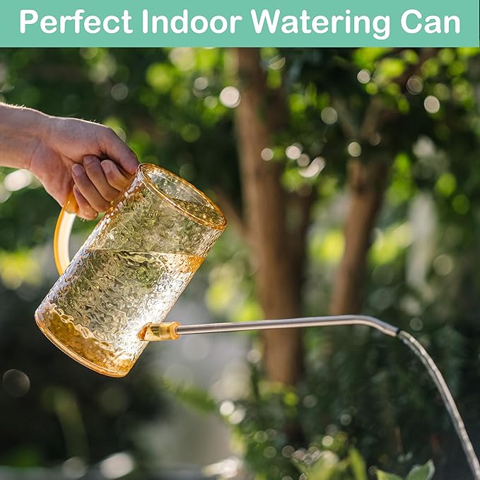 Long Spout Watering Can Indoor Plants, Small Watering Cans for House Plants, Flowers, Succulents 34oz