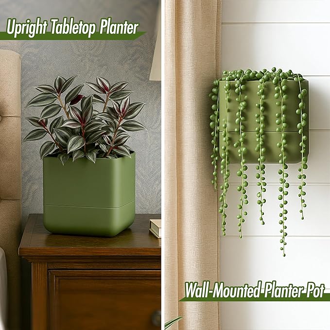 Phoenix Vine 6.5 Inch Wall Mounted Self-Watering Planter Pot for Indoor Houseplants and Herbs | Hanging Planter for Window Sills, Bathroom Walls, Home & Office Décor, Olive, Set of 1, 01-C-F-1