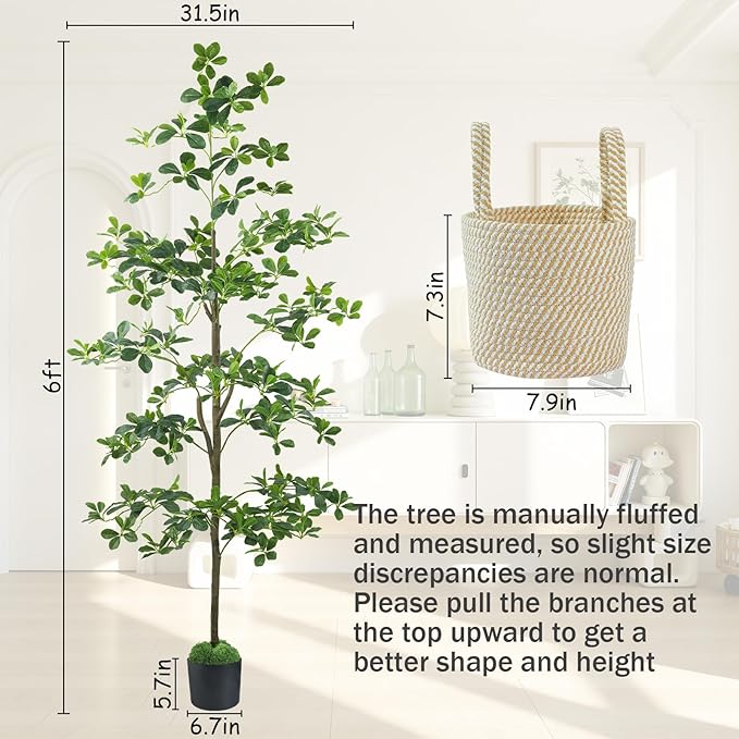 Caxchiling Artificial Black Olive Tree 6FT, Fake Potted Tree for Indoor Outdoor, Lifelike Faux Floor Plants with Moss Topper and Cotton Basket, Home Office Living Room Bedroom Doorway Hallway Decor