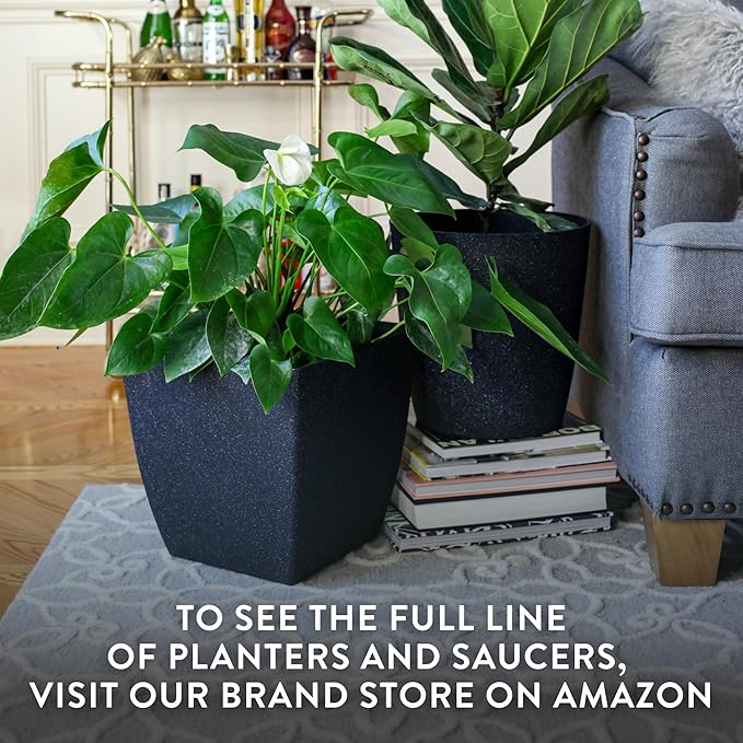 The HC Companies Santa Fe Square Self-Watering Pot - Lightweight Plastic Planter for Herbs & More - Durable Plant Pots for Indoor Plants & Outdoor Plants (12" Cavern Clay, Pack 2)