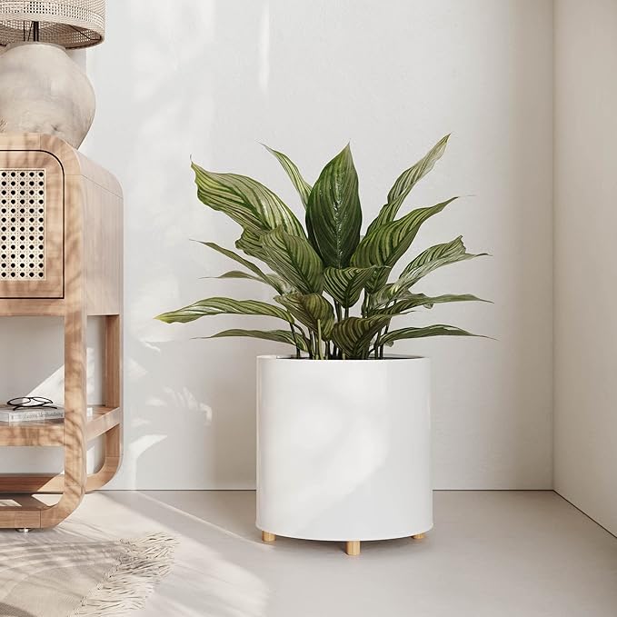 EverNest Raya White Minimalist Indoor Plant Pot with Peg Leg Stand, 10-Inch Plant Holder, SelectBase, Mid-Century Modern Plant Pot, Minimal Neutral Home Decor (Medium, 2 Gallon)