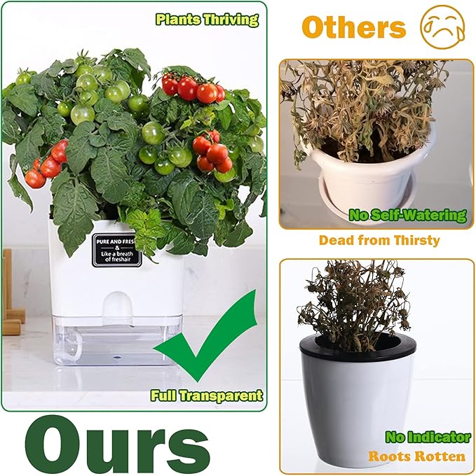 Planterhoma Self Watering Plant Pots for Indoor Plants 4.3 inch, 6 Packs Square Self-Watering Planters with Drainage Hole, White African Violet Pots for Devil's Ivy, Spider Plant, Orchid, Herb