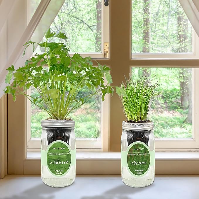 2-Pack Hydroponic Mason Jar Herb Garden Kit, Indoor Herb Garden Self-Watering Starter Kit, New Christmas Gift for Mom (Cilantro,Chives)