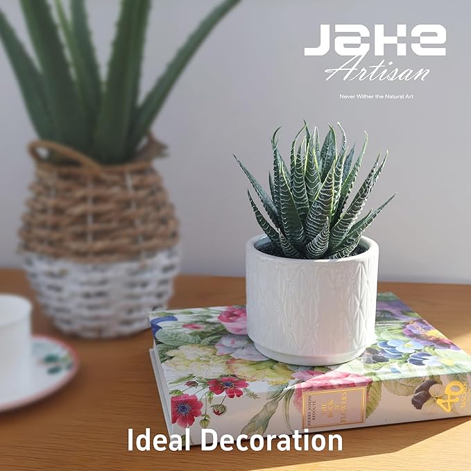 Jahe Aloe Plant Artificial Plants Indoor, 6.7'' High Faux Plants Indoor, Realistic Looking Artificial Succulent in Ceramic Pot, As a Gift for Women, Suitable for Room, Bathroom, Living Room, 1 Pack