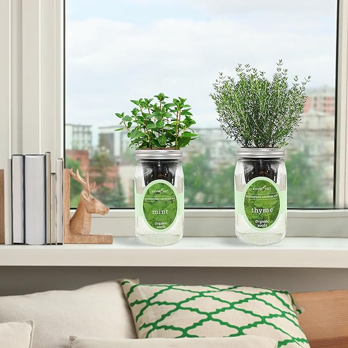 2-Pack Hydroponic Mason Jar Herb Garden Kit, Indoor Herb Garden Self-Watering Starter Kit, New Christmas Gift for Mom (Mint,Thyme)