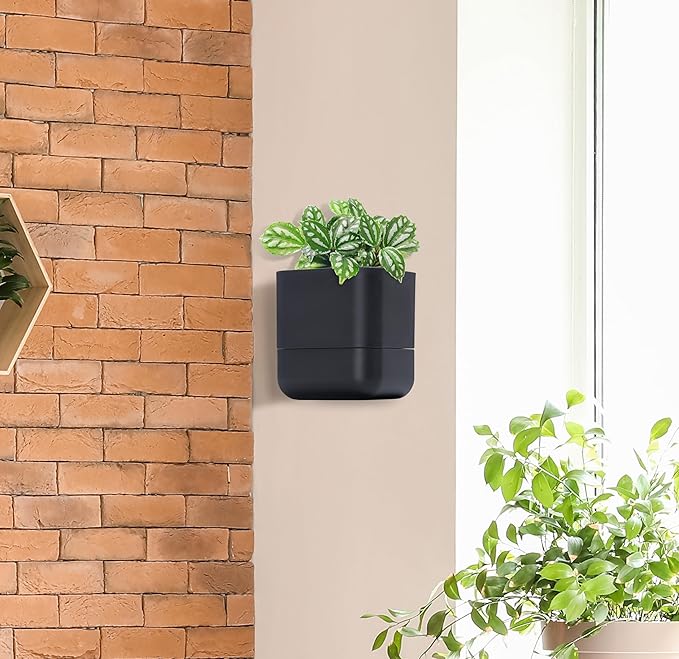 Phoenix Vine 6.5 Inch Wall Mounted Self-Watering Planter Pot for Indoor Houseplants and Herbs | Hanging Planter for Window Sills, Bathroom Walls, Home & Office Décor, Black, Set of 1, 01-C-E-1