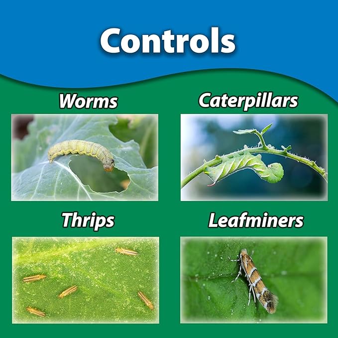 Monterey Garden Insect Spray - Organic Gardening Control of Foliage Feeding Worms, Thrips, Leafminers - 1 Pint Ready to Spray, Attaches to Garden Hose