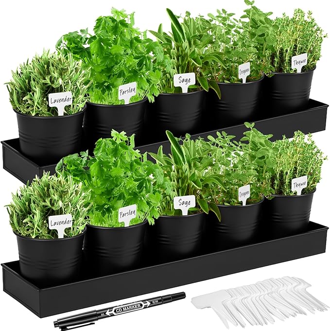 FoldTier 2 Sets Herb Garden Planter Indoor Kit with Trey 10 Pcs Metal Windowsill Plant Pots with Drainage Holes Indoor Herb Planter with Marker and Labels for Home Outdoor Plants (Black)