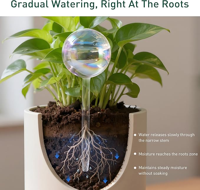 Soilagua Large Extra-Thick Clear Glass Plant Watering Globes, Rainbow Gradient Self Watering Devices for Indoor & Outdoor Plants, AutomaticWaterer Spikes, Perfect for Daily or Vacation Use, 2-Pack
